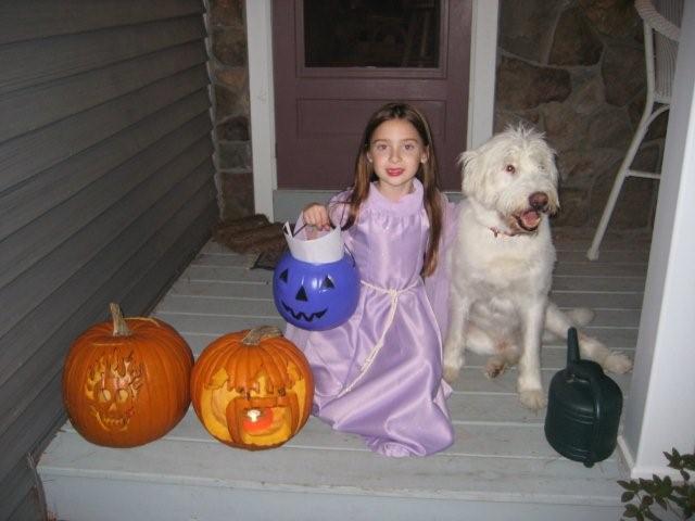 trickOrTreat trickOrTreat