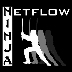 What is a NetFlow Ninja