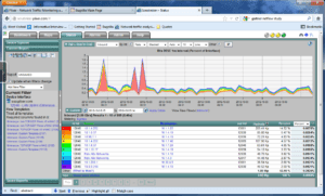 Flexible NetFlow Matching