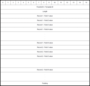 NetFlow v9 Data FlowSet Format