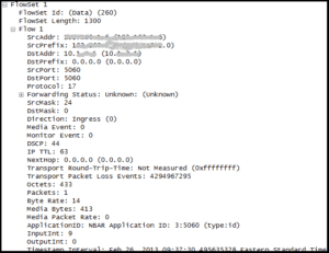 NetFlow v9 Data FlowSet Packet Capture