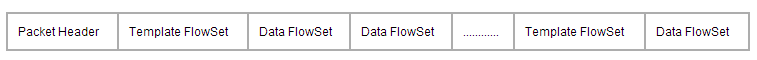 NetFlow v9 Export Packet format
