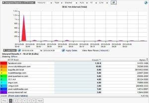 NetFlow URLs