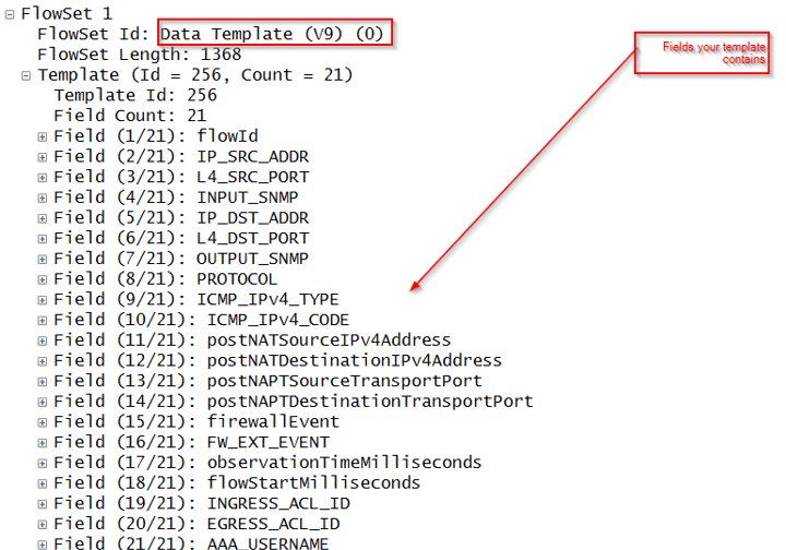 Identifying NetFlow version 9 Template