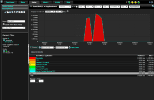 NetFlow performance analysis