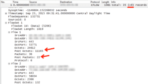 Meraki NetFlow packet