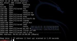 udp scan via nmap and kali