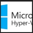 Microsoft Hypervisor to run the Virtual NetFlow Collector