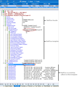 GigaStor NetFlow Datagram