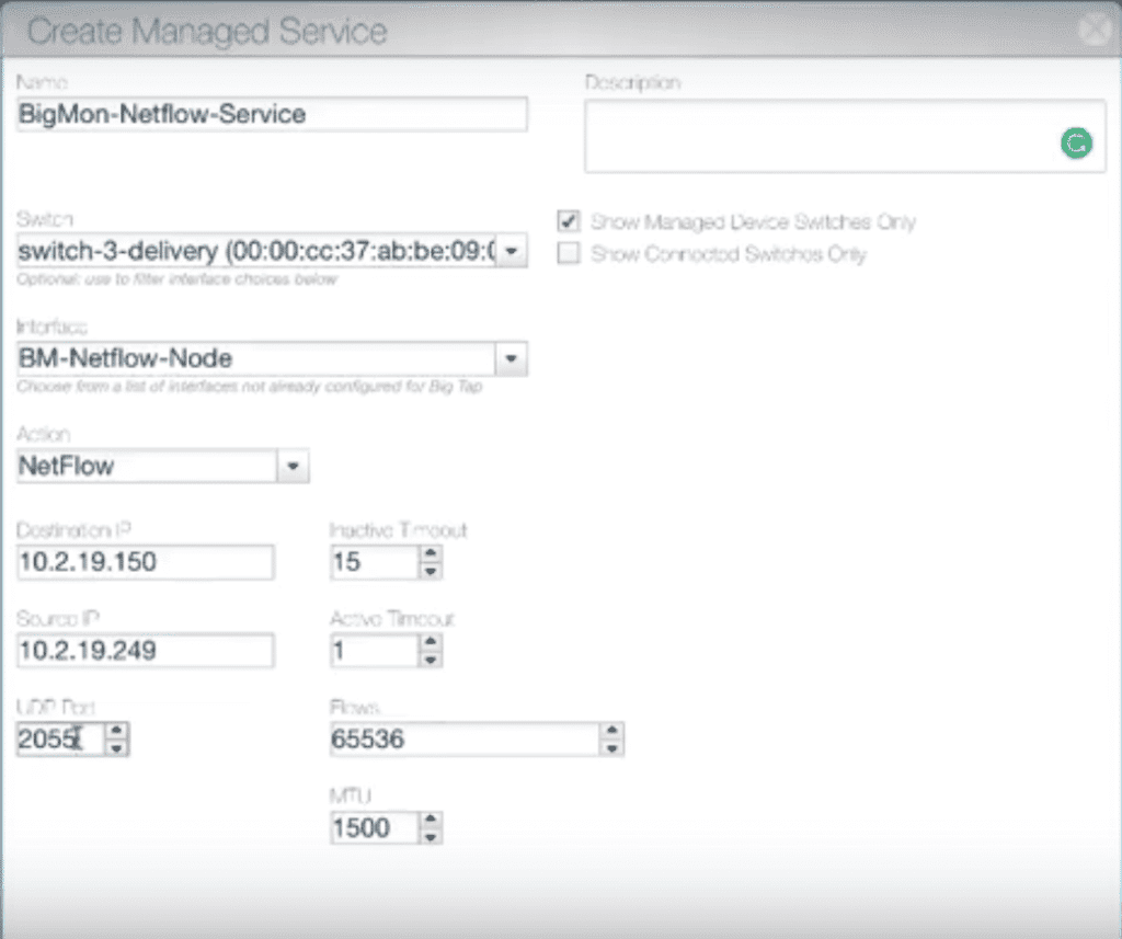 big-networks-netflow-support