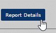report_details