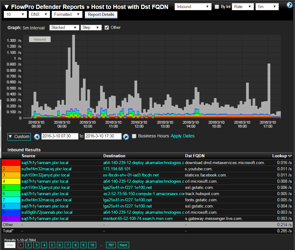 DNS flow reports