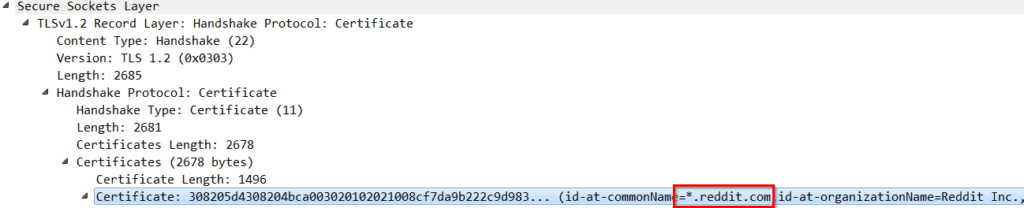 Extract the SSL common name with NetFlow