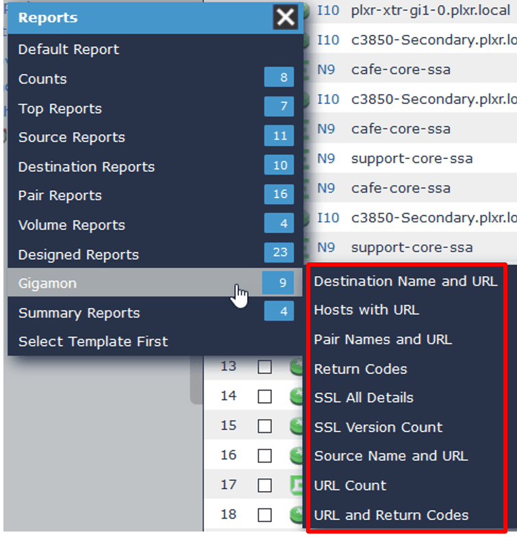 Figure 6. Available Gigamon Reports