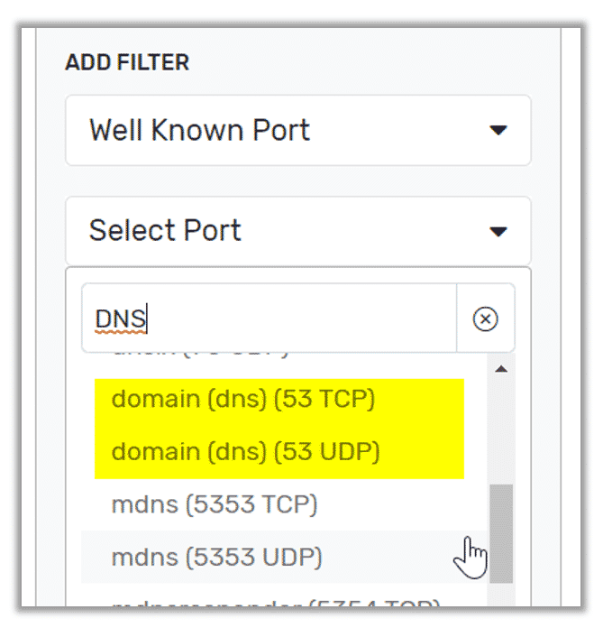 Scrutinizer: Filter for DNS traffic