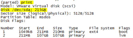 Expanding Scrutinizer's disk--printing existing paritions