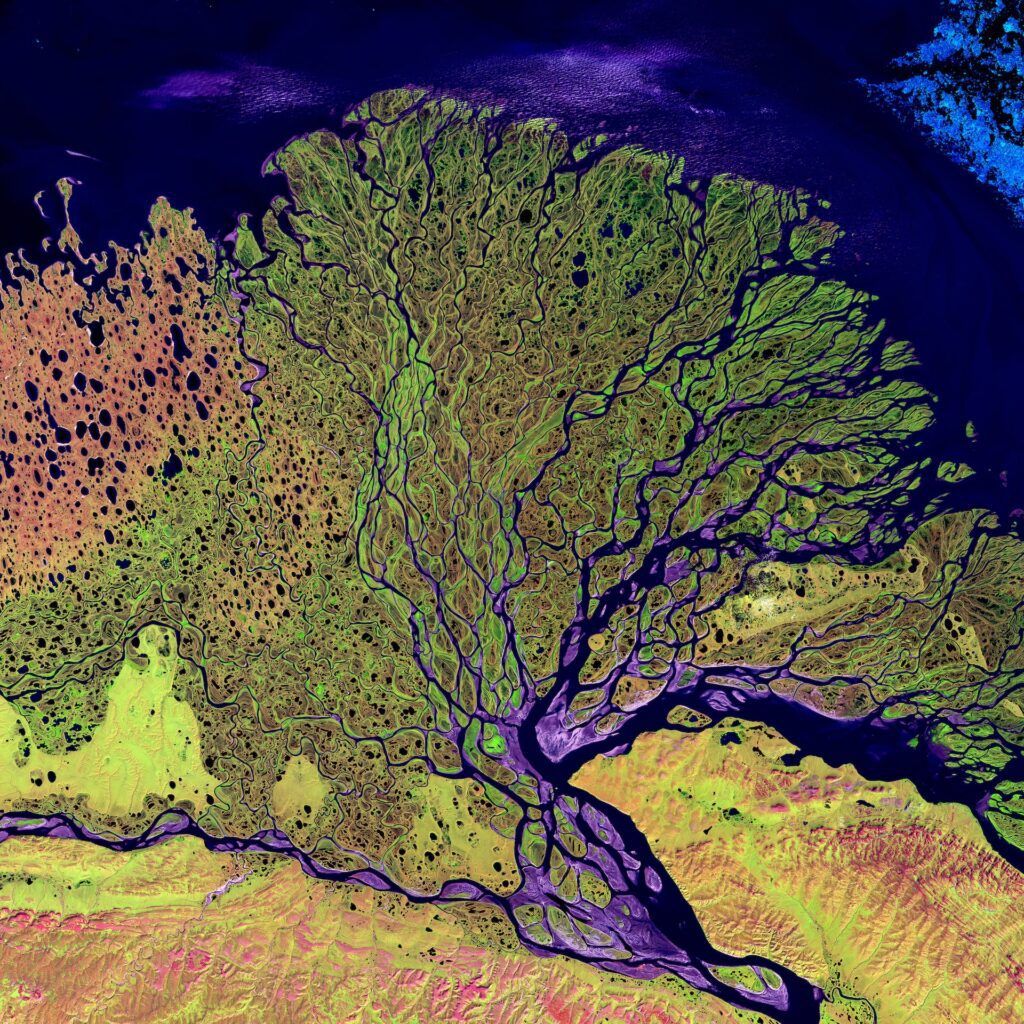 River Delta