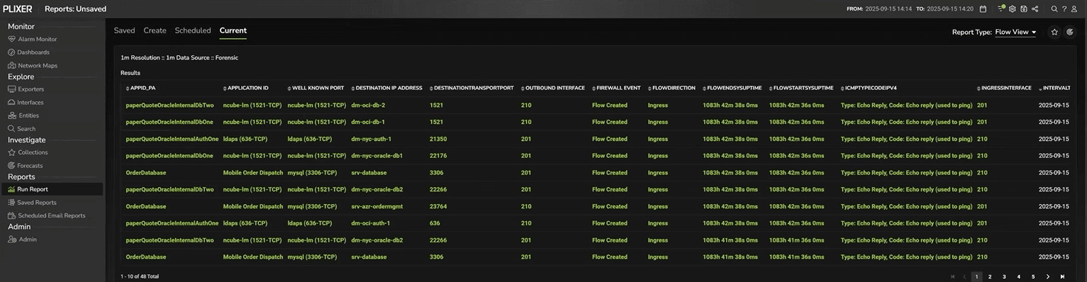 Raw flow view in Plixer One